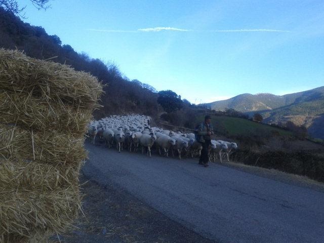 La Llar-lo Paller Del Coc Country house